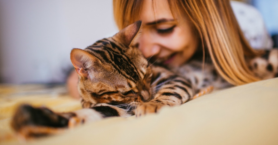 cat and lady playing