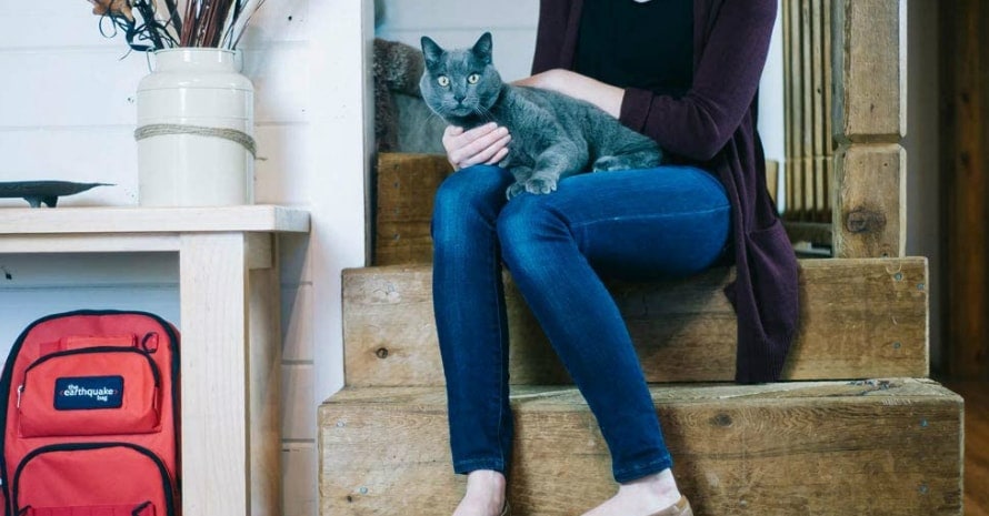 gray cat sits on woman’s lap