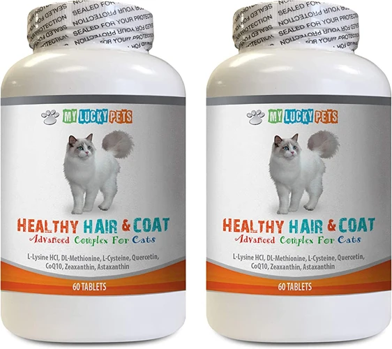 Supplements To Support Coat Health