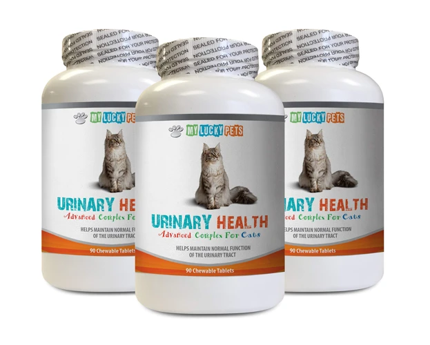 Treatment Options For Utis In American Bobtail Cats