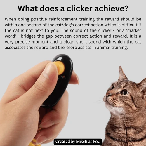 What Is Clicker Training?