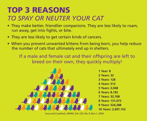 Benefits Of Spaying Or Neutering Your Cat