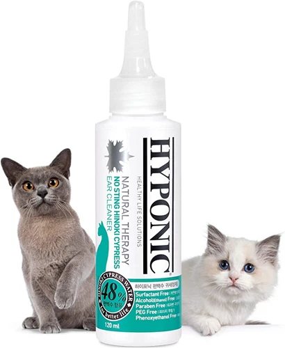 Best Ear Cleaning Solutions For American Wirehair Cats