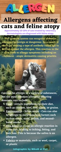 Causes Of Allergies In California Spangled Cats