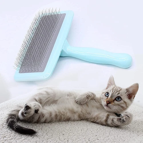 Choosing The Right Brush For Your American Shorthair