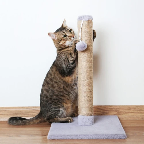 Choosing The Right Scratching Post