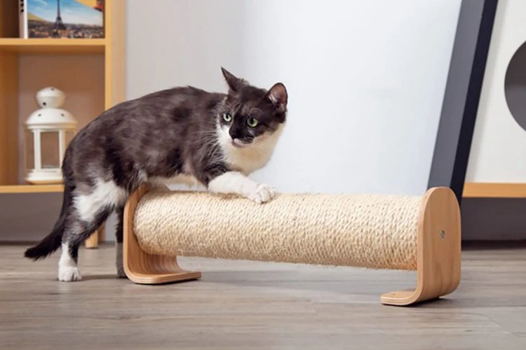 Choosing The Right Scratching Post