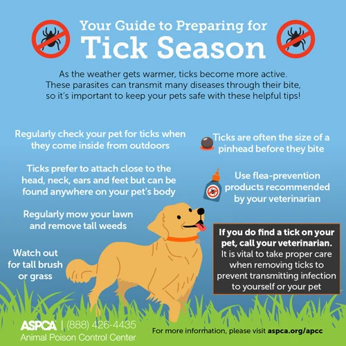 Cleaning Tips To Control Fleas And Ticks