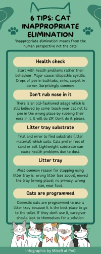 Common Litter Box Problems And Solutions