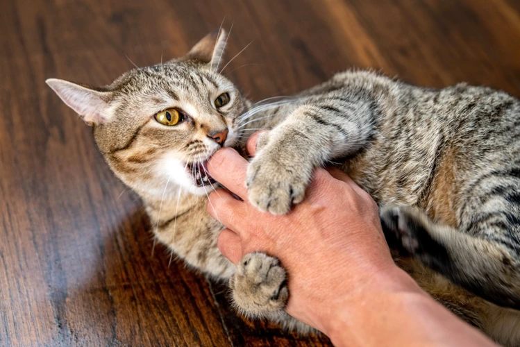 Effective Techniques For Discouraging Biting And Scratching