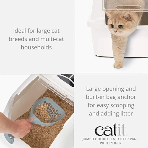 Encouraging Your American Wirehair To Use The Covered Litter Box