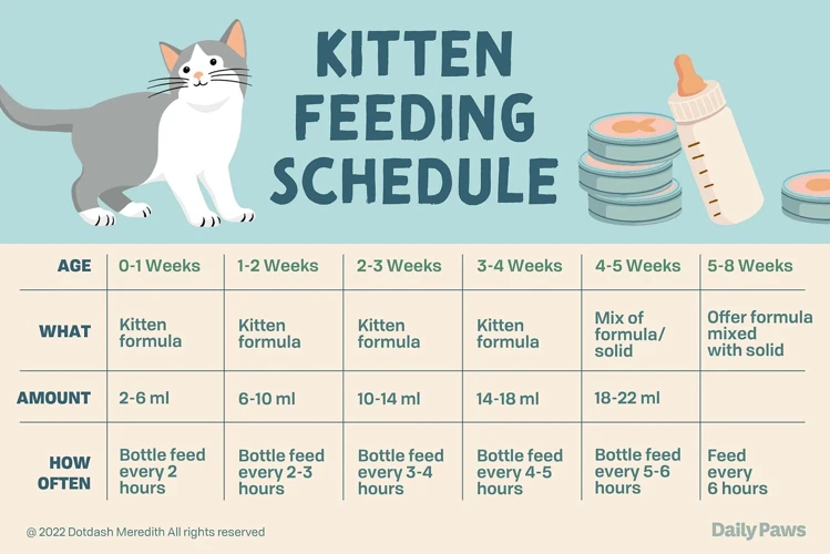 Feeding Schedules