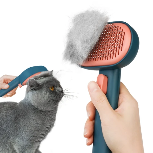 Grooming Tools For Managing Shedding