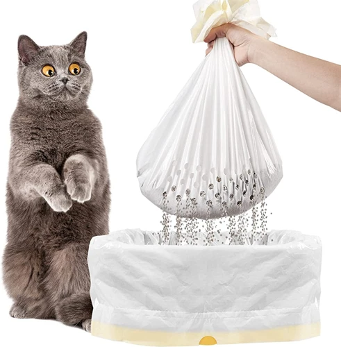 How To Clean Your American Wirehair'S Litter Box: Step-By-Step Guide