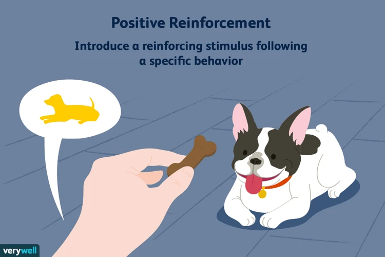 Positive Reinforcement Techniques