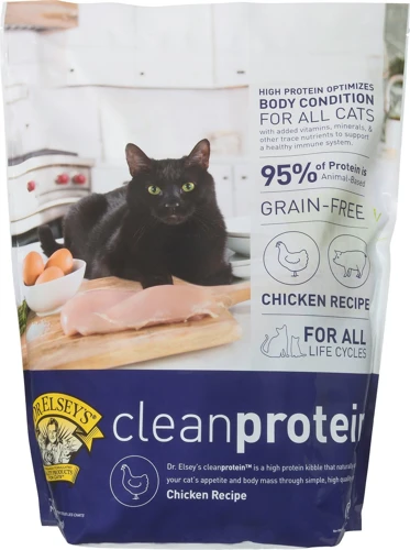 The Best Sources Of Protein For American Shorthair Cats