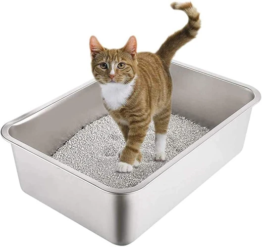 Tip #1: Choose The Right Litter Box