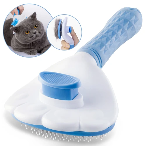 Tools For Brushing American Shorthairs