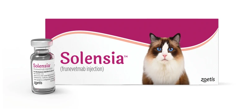 Treatment For Feline Arthritis