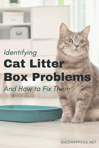 Troubleshooting Litter Box Problems