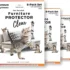 Train Your American Shorthair to Use the Scratching Post with Positive Reinforcement
