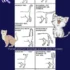 American Wirehair Cat Color Variations