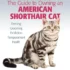 Tips to Keep Your American Shorthair Cat Healthy