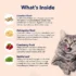 Recognizing and Managing Allergies in American Shorthair Cats