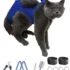 American Wirehair Coat Patterns